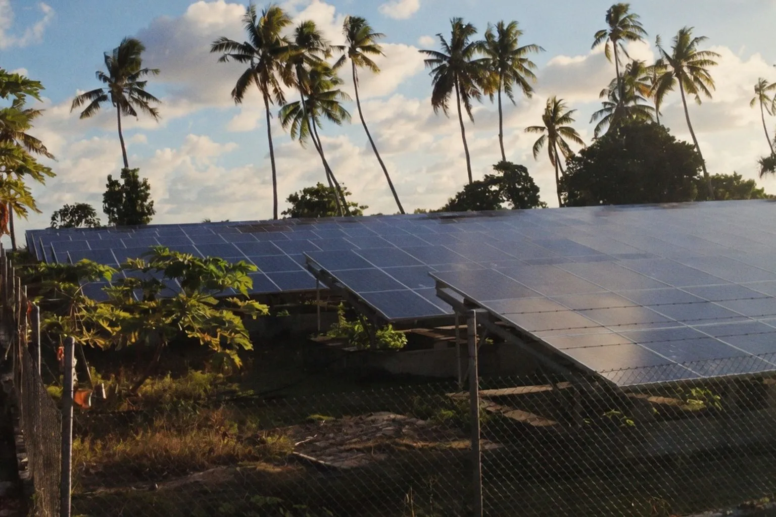 Balancing Renewable Energy Expansion with Global Land Restoration Goals