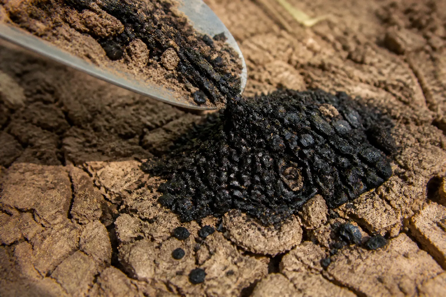 Biochar soil application: restoring degraded land tomorrow