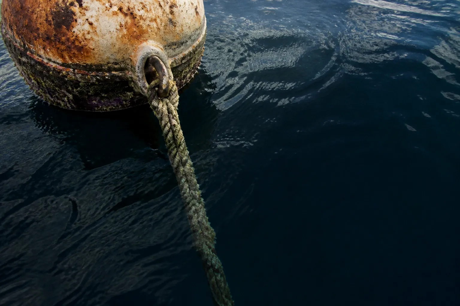 Marine reserves: strict protection or sustainable use?