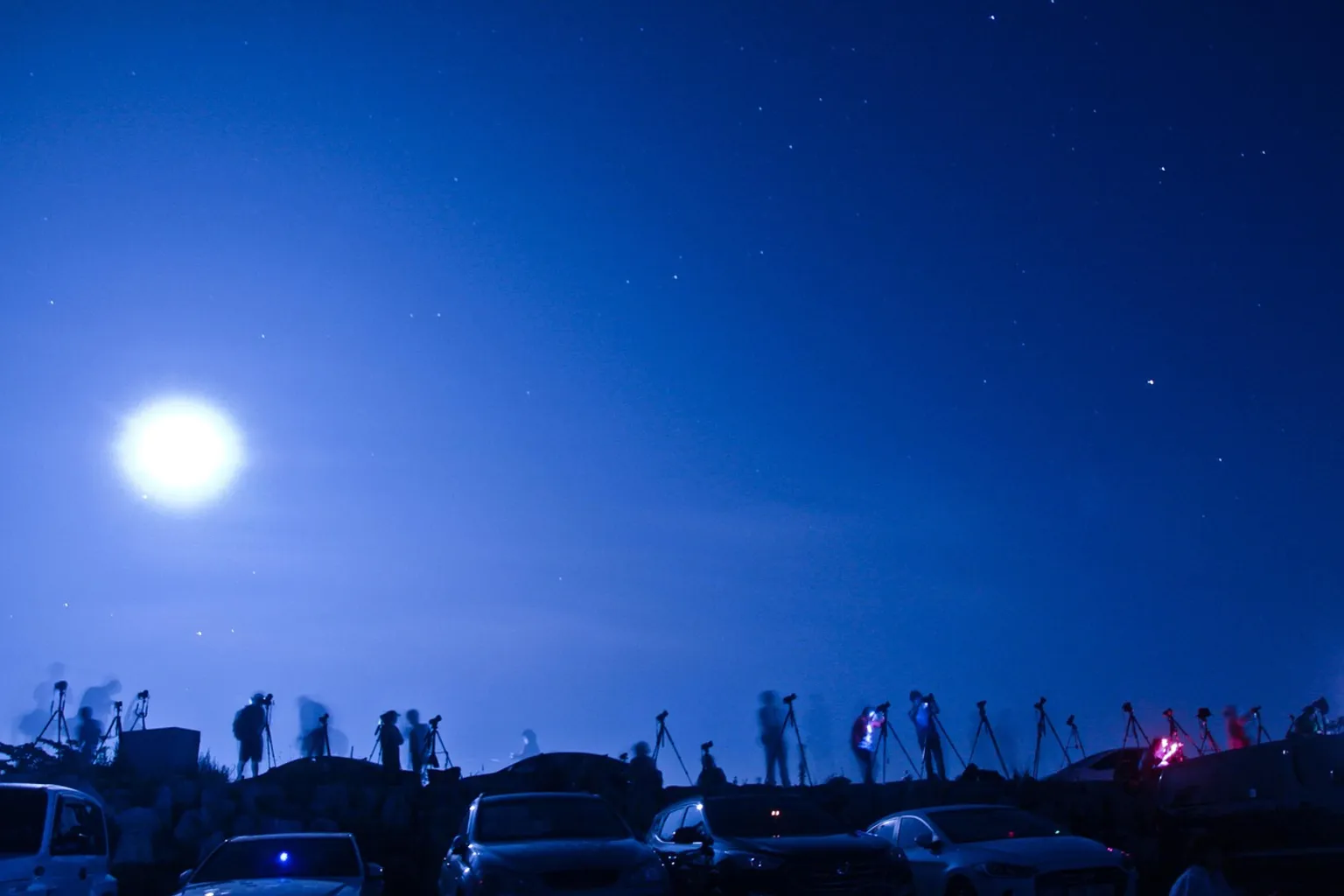 Sky View Observatory tickets: Seattle's urban canopy from above