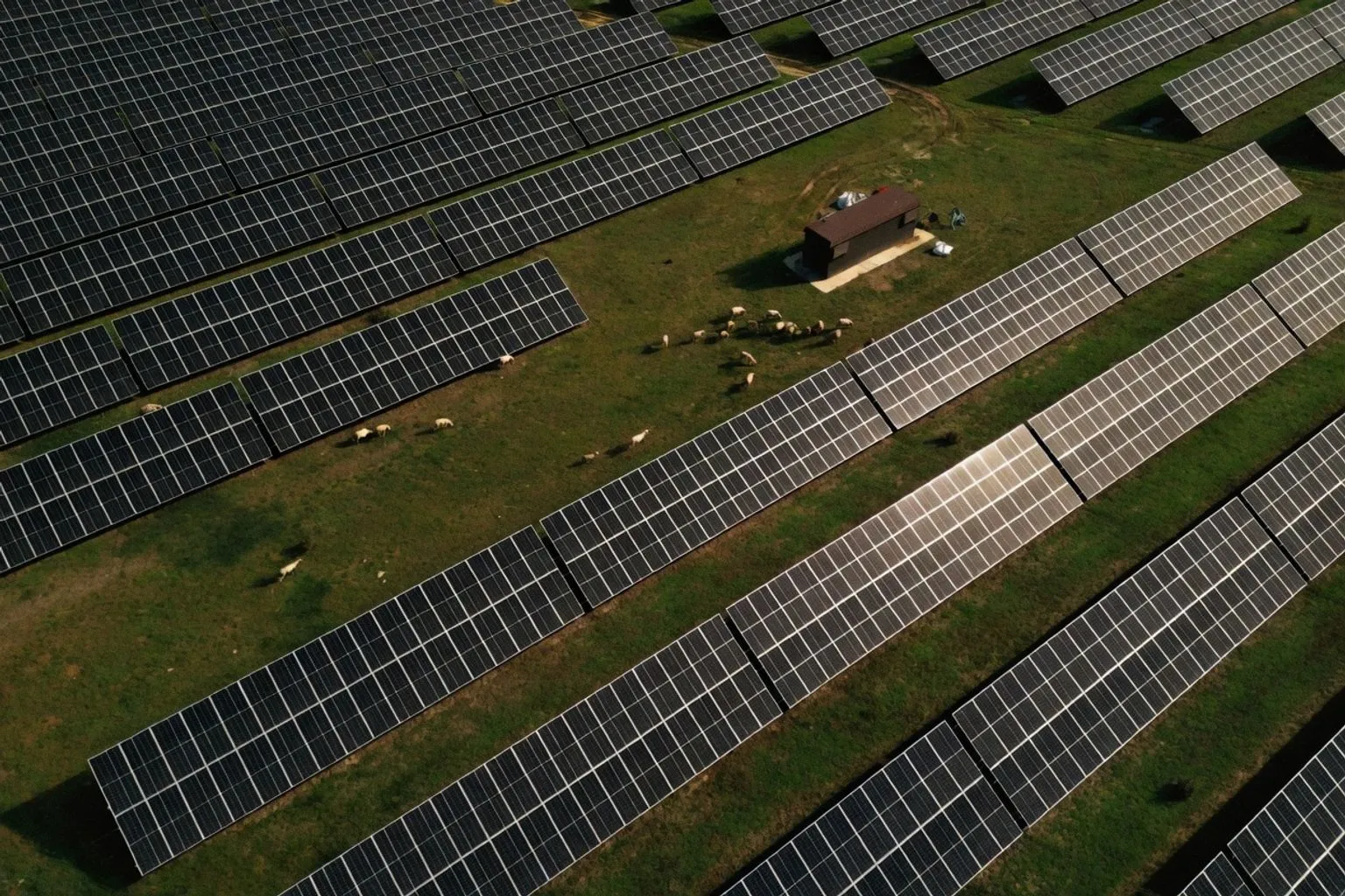 Sungrow Pivots to Integrated Energy Platforms to Solve Grid Flexibility Challenges