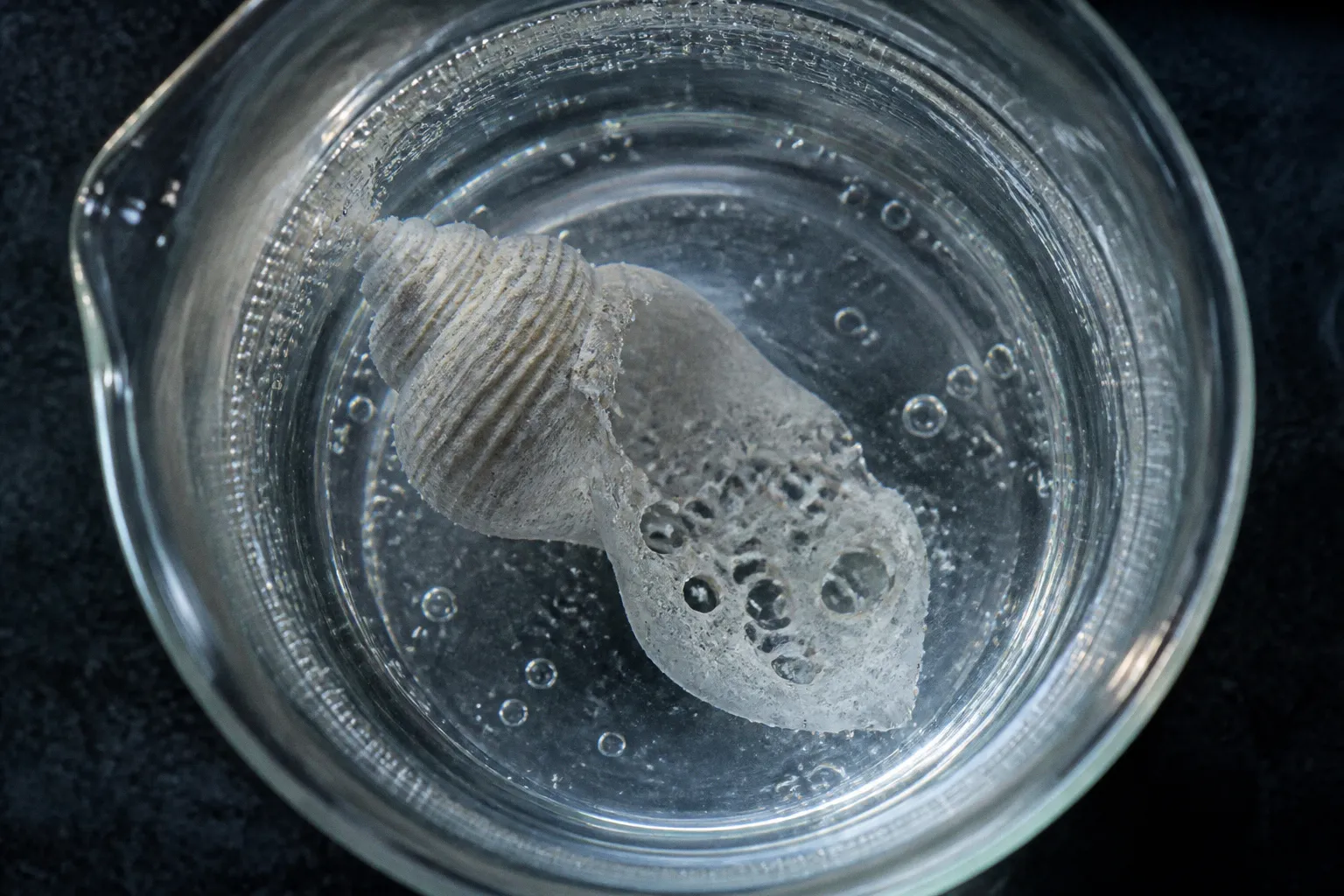 The chemical process behind ocean acidification